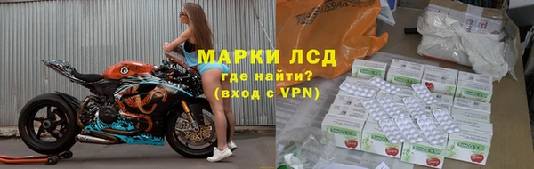 прущие грибы Арсеньев