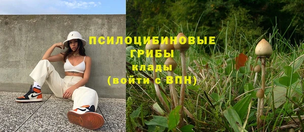 гашиш Аркадак