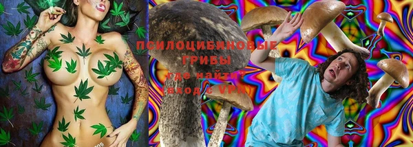 прущие грибы Арсеньев