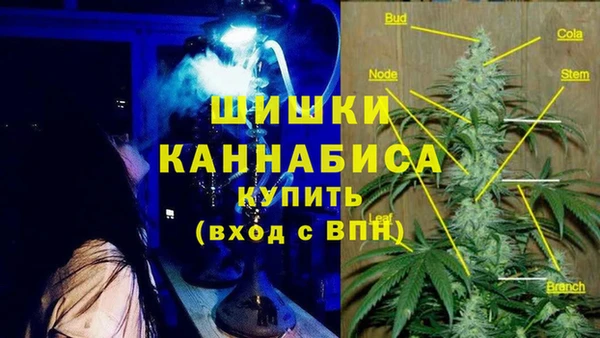 прущие грибы Арсеньев