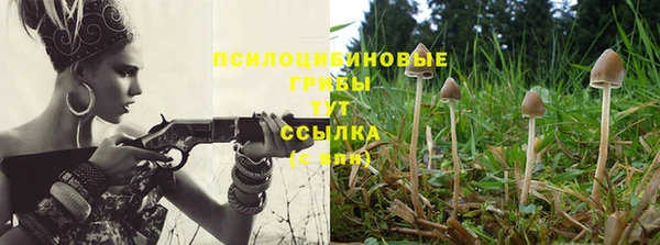 гашиш Аркадак