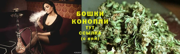 прущие грибы Арсеньев