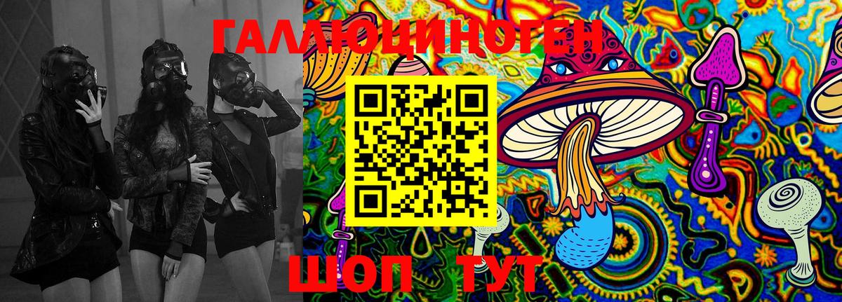 Карачаевск  Галлюциногенные грибы Psilocybine cubensis  купить  сайты  Вход с VPN 