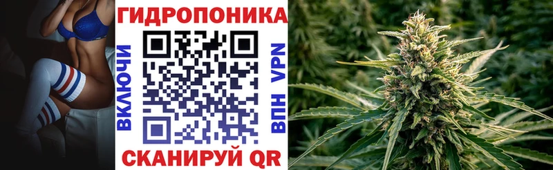 Бошки марихуана LSD WEED  Карачаевск 